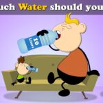 How Much Water Should I Drink a Day? Guidelines and Tips for Proper Hydration