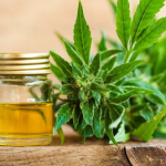 Benefits of Ethanol Extraction System for Cannabis Oil